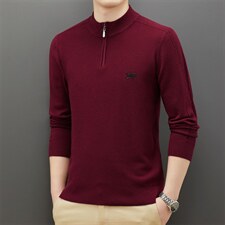 BAMJ-313钱塘2020-2中年男士秋季新款薄款半高领针织衫毛衣P65，男装针织衫/毛衣，钱塘207-2
