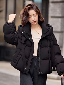 2025冬季新款90白鸭绒羽绒服图片