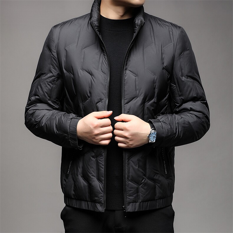 秋冬季新款羽绒服男士白鸭绒加绒潮服休闲立领潮流韩版保暖外套,男装羽绒服,钱塘6003（原4033）