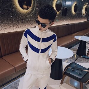 春款社会小伙修身立领夹克拉链运动休闲两件套装D965-P120控150图片