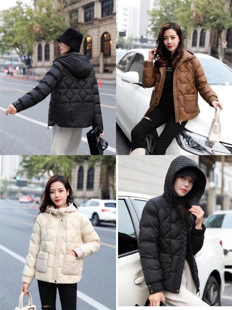 天香百合 YBLY134235