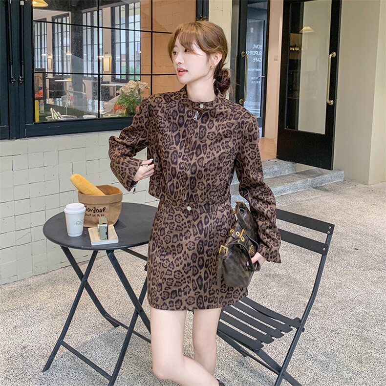 时尚豹纹长袖连衣裙秋季新款显瘦气质女装套装,女装套装/套裙,秋水欣儿