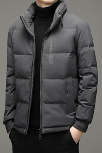 中年男士羽绒服男冬季中年爸爸翻领冬装休闲款外套YL28809-P265，男装羽绒服，电商B212（原钱塘6029）
