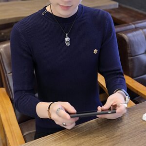 2021秋冬季男毛衣圆领男士针织衫高领毛衣男不起球图片