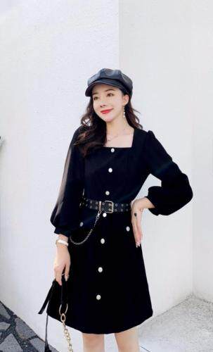 秋装新款连衣裙，女装连衣裙，有声有色