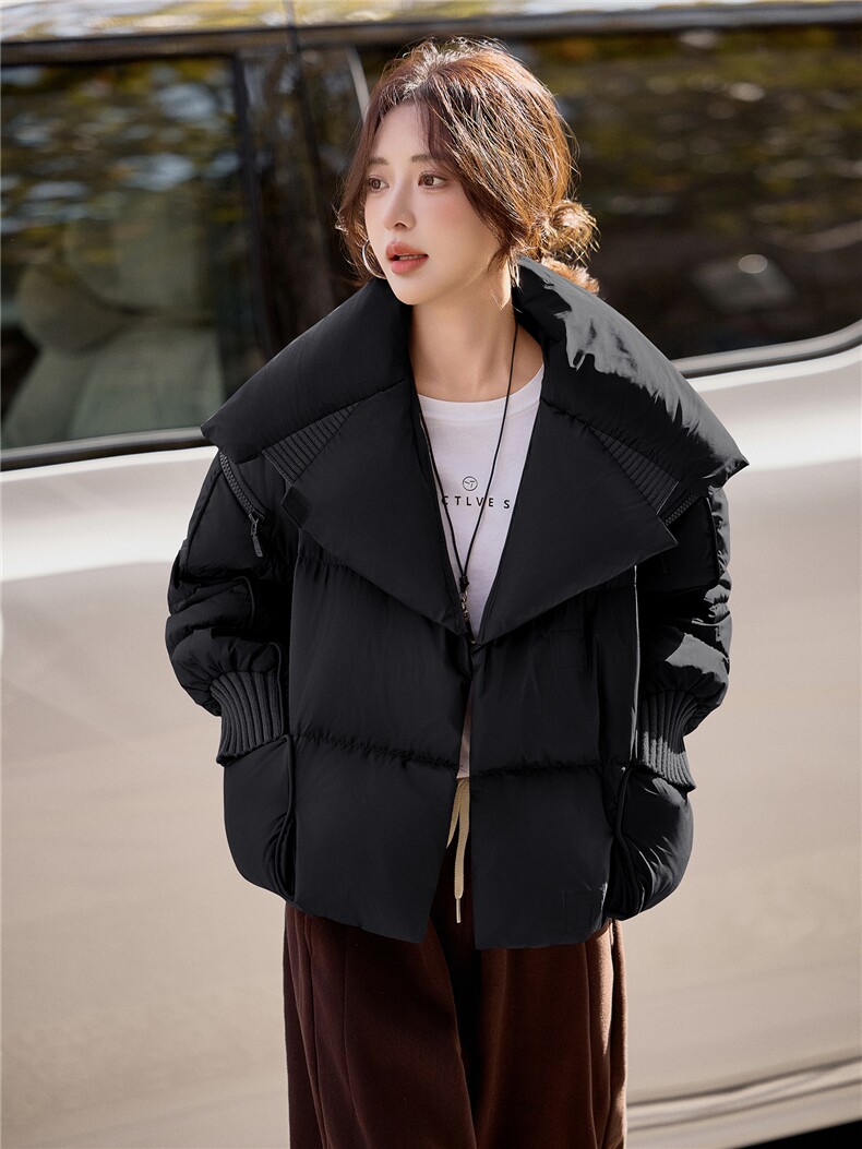 水衣源2319款短款大翻领加厚时尚羽绒服冬季保暖外套女,女装羽绒服,水衣源