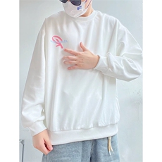 抖音得物现货高品质美式宽松圆领印花卫衣新款重磅卫衣ADY100，男装卫衣，电商A443