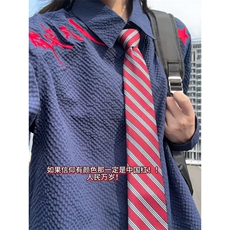 XZ809A/SYR25/特P30/控58泡泡格人民万岁绣花长袖衬衫，男装衬衫，星座809A(原222-1)