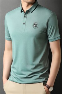 短袖t恤男2023夏季中青年男士休闲百搭POLO打底衫翻领男装上衣图片