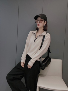 双面德绒立领拉链打底衫ＭL图片