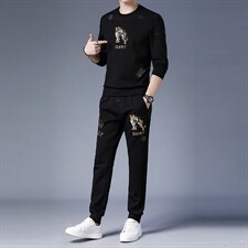 2023春秋季新款男式休闲套装圆领长袖T恤中青年长裤运动两件套，男装休闲套装，电商B212（原钱塘6029）