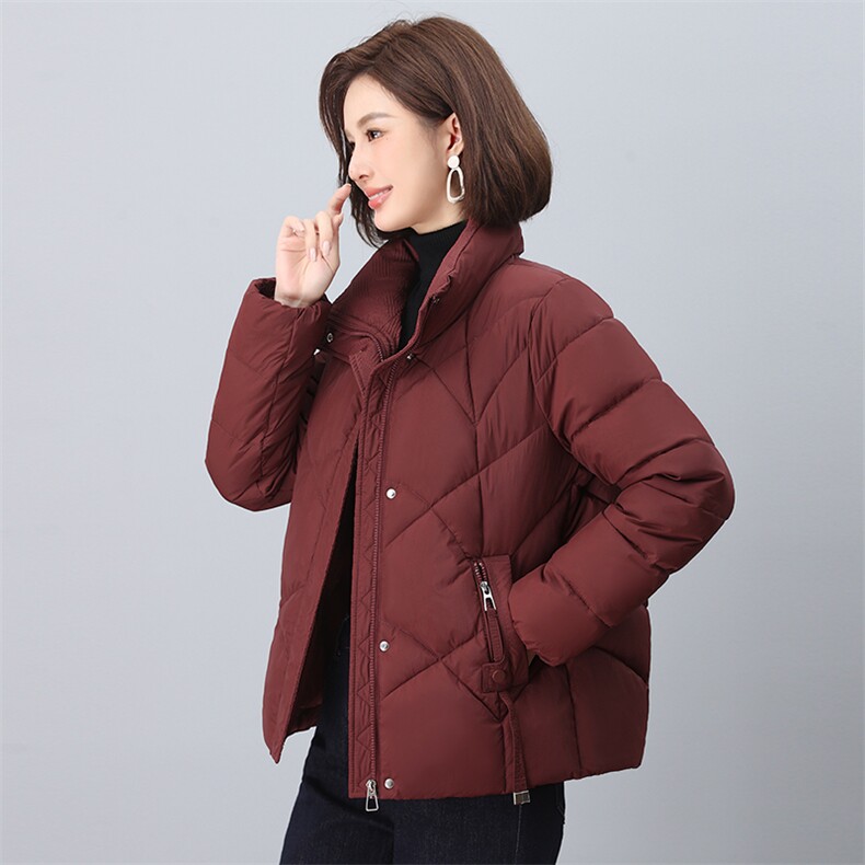 2024年冬季新款时尚立领棉服休闲羽绒棉棉服,女装棉衣/棉服,依恋蒂丝