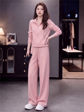高级感时尚休闲运动服套装女春秋新款立领长袖卫衣阔腿长裤两件套，女装套装/套裙，江南