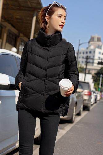 真维多利 ZWDL103142