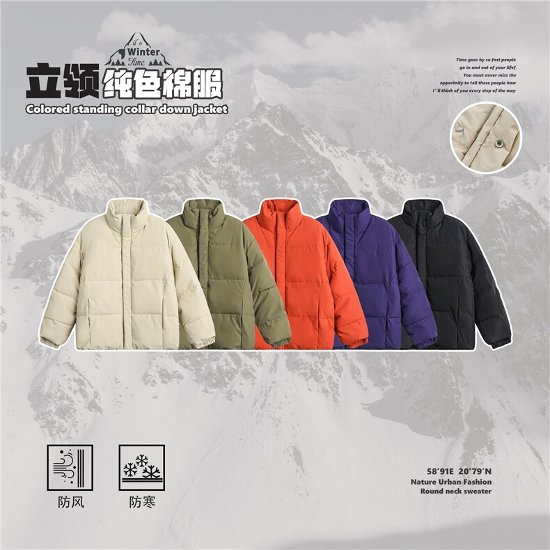 2025冬款纯色立领棉服--5215模特图,男装棉衣,电商S012（CATTEE）