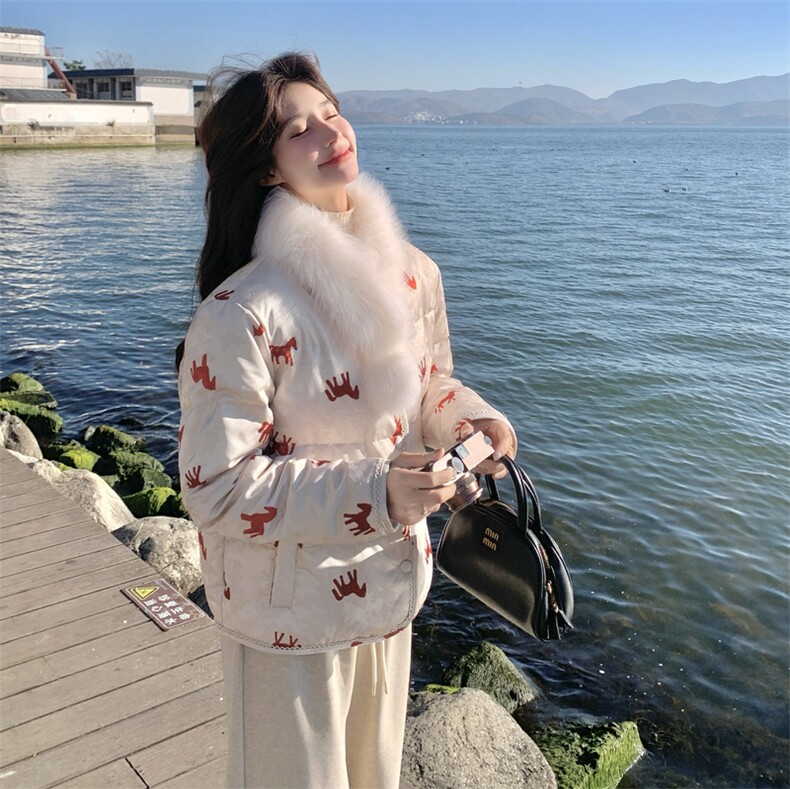 新中式国风印花羽绒服女2025冬季新款巨好看独特漂亮90白鸭绒外套,女装羽绒服,2C153