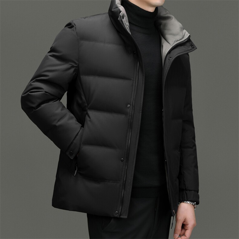 DF2392钱塘2020-2新款百搭简约翻领厚款中年男士羽绒服P223,男装羽绒服,钱塘207-2