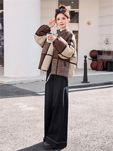 2025年冬季新款拼接短款休闲羽绒服图片