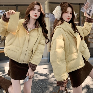 现货新款独特超好看短款羽绒服女款冬季立领面包服小个子羽绒外套图片