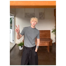 网图老钱风boxy正肩版短袖针织衫T恤W2000/特P45，男装T恤，电商B350