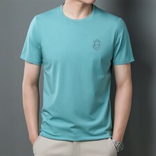 短袖T恤男2023新款圆领t恤男士短袖潮流宽松纯色半袖体恤夏装上衣，男装T恤，电商B212（原钱塘6029）