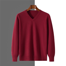 2025年秋季V领长袖宽松型时尚都市，男装针织衫/毛衣，牧绒家园