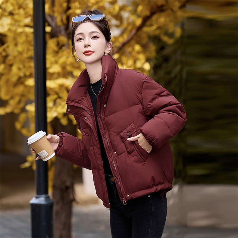 超好看短款白鸭绒羽绒服女2025冬新款小个子时尚宽松立领保暖外套,女装羽绒服,涵亦佰惠