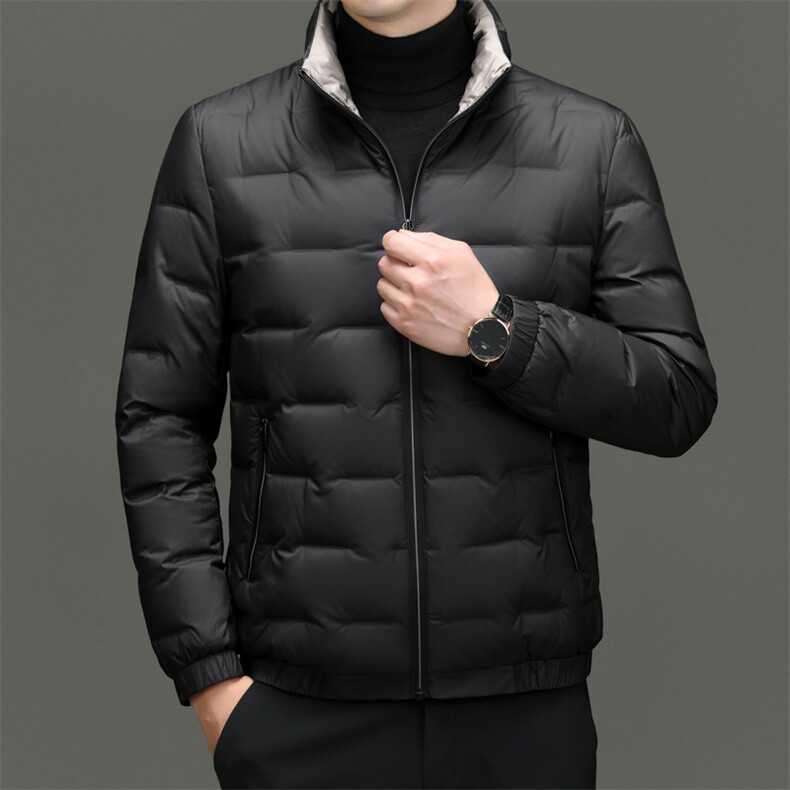秋冬季男士白鸭绒羽绒服加绒保暖商务品质立领外套休闲简约男装,男装羽绒服,钱塘6003（原4033）