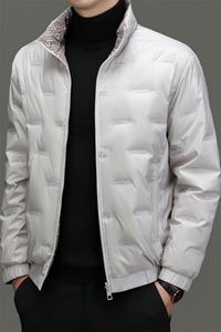CSYR98812钱塘2020-2商务冬季厚款休闲新款中年男士羽绒服P215图片