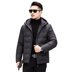 冬季鸭绒羽绒服男新款翻领厚款男士休闲冬装外套KCN7611-32-P235，男装羽绒服，电商B212（原钱塘6029）