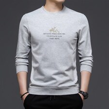 纯色圆领卫衣2023春季新款套头印花卫衣潮流宽松休闲时尚上衣男装，男装卫衣，电商B212（原钱塘6029）