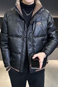大货冬季皮羽绒服男立领加厚保暖防寒服C317-Y8215-P185图片