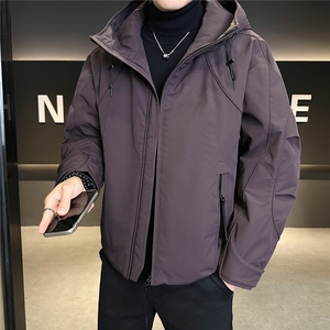 新标90绒 工装男士羽绒服冬季2025新款连帽外套 A313-8893-P295图片