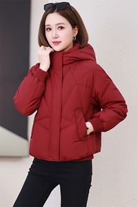 2024新款90白鸭绒简约休闲连帽羽绒服短外套【现货】图片