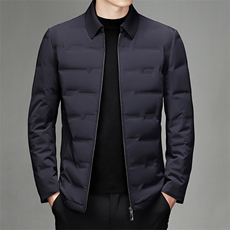 CK6607钱塘2020-2中年男士商务休闲百搭简约冬季厚款羽绒服P325，男装羽绒服，钱塘207-2