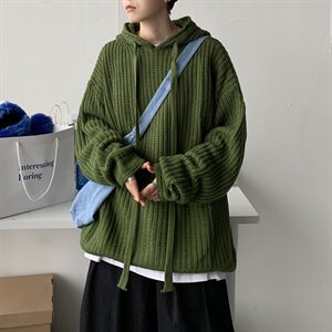 20秋冬港风连帽针织衫毛线衣中性情侣纯色宽松外套潮 W01/P70图片