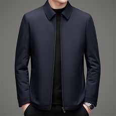 棉衣冬季新款商务休闲常规翻领风衣男宽松气质棉服MSNAN2117-P195，男装棉衣，电商B212（原钱塘6029）