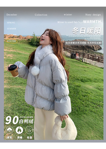 2C291蓝色时尚毛领羽绒服YRF9711-P295-K499图片