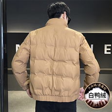 2024新款店主风立领冬季新款白鸭绒加厚潮流百搭羽绒服外套-8316，男装羽绒服，电商A225