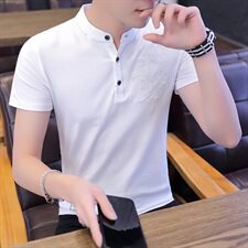 款8801夏装短袖t恤男装韩版纯棉男士立领POLO衫潮牌帅气，男装T恤，电商D310（原电商305）