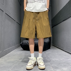 沙丘褐