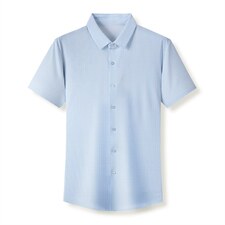 2023夏季新款男装短袖衬衫男中年冰丝高端商务休闲免烫衫衬衣，男装衬衫，电商B212（原钱塘6029）