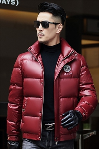 ZMS-M8851新款冬季男士白鸭绒羽绒服立领保暖外套修身大衣图片