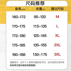 男青少年两件套春季夹克套装工装翻领夹克男CYTZ19图片