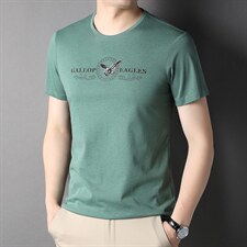 2024年夏新款高端时尚男士T恤P45，男装T恤，电商D223-1