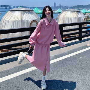 粉色休闲减龄套装裙女秋季新款奶甜系盘扣卫衣半身裙小个子两件套图片