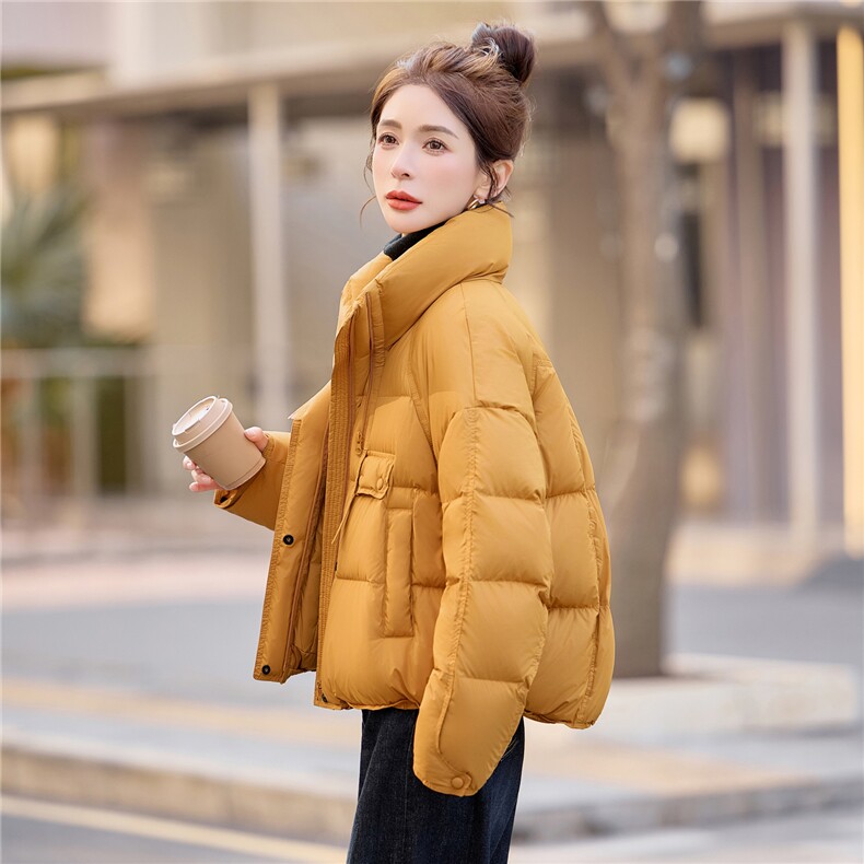 时尚洋气短款立领白鸭绒羽绒服女2025冬新款韩版设计感,女装羽绒服,余墨