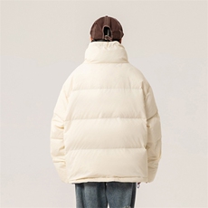 新标90白鸭绒简约休闲立领外套纯色加厚羽绒服ESY0204-P210，男装羽绒服，电商B306