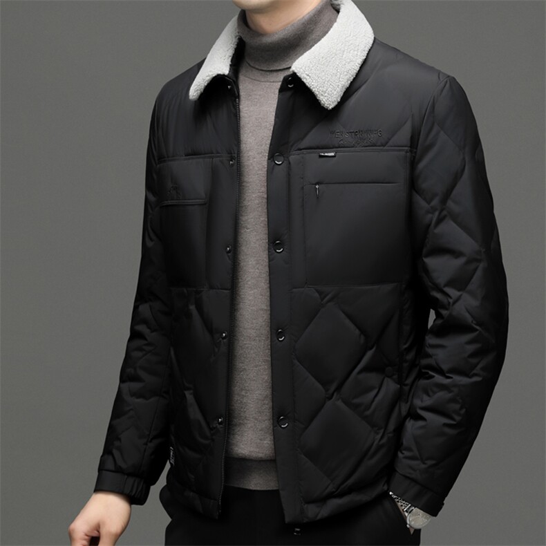 DF2293钱塘2020-2冬季百搭简约翻领厚款中年男士羽绒服P263,男装羽绒服,钱塘207-2