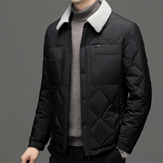 DF2293钱塘2020-2冬季百搭简约翻领厚款中年男士羽绒服P263，男装羽绒服，钱塘207-2